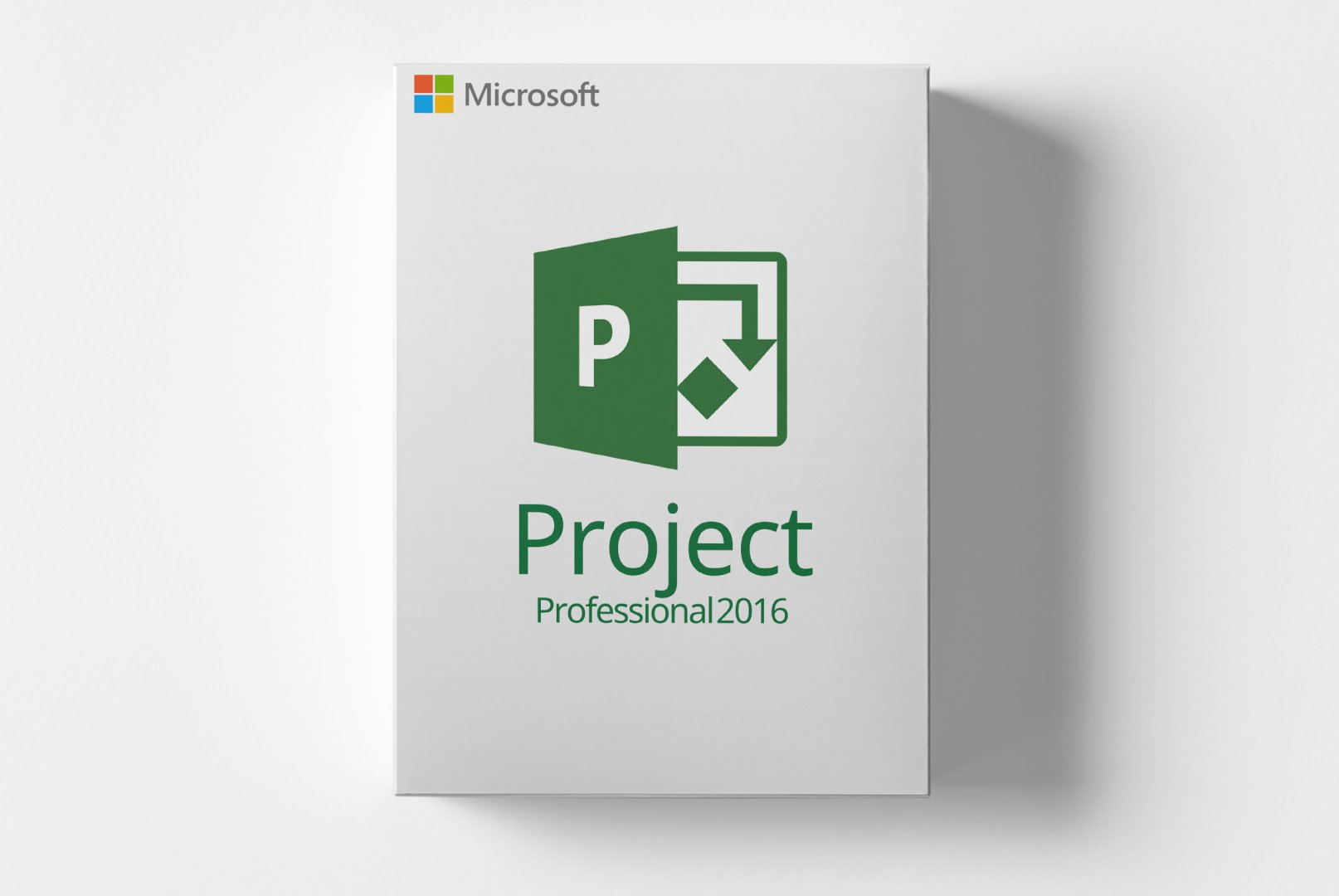 Microsoft Project 2016 Professional