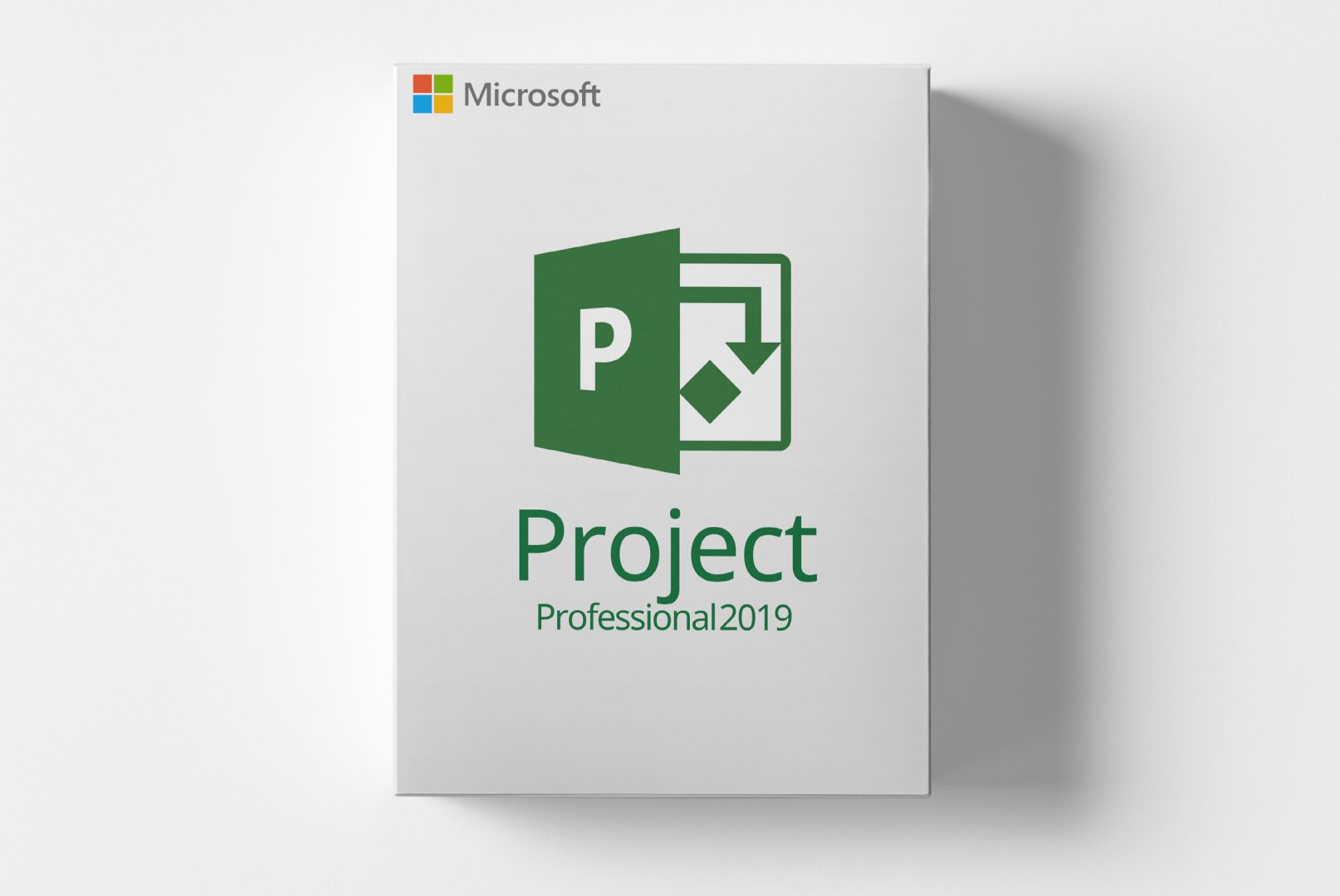 Microsoft Project 2019 Professional