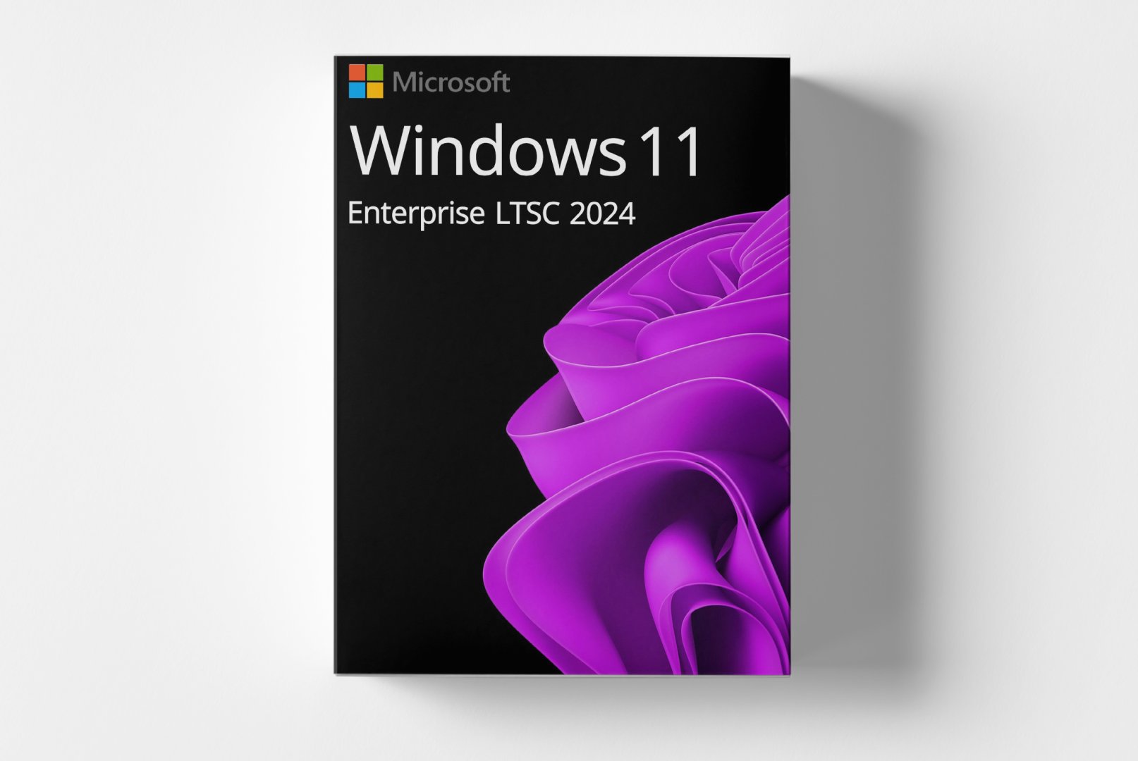 Windows 11 Enterprise- LTSC 2024