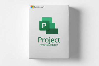 Microsoft Project 2021 Professional