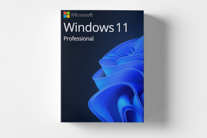 Microsoft Windows 11 Professional Vollversion Sofortversand