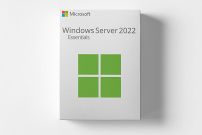 Microsoft Windows Server 2022 Essentials